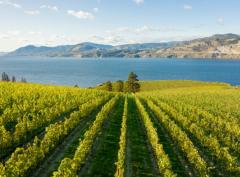 MHFE_Disc_Winemaking_Terroir01