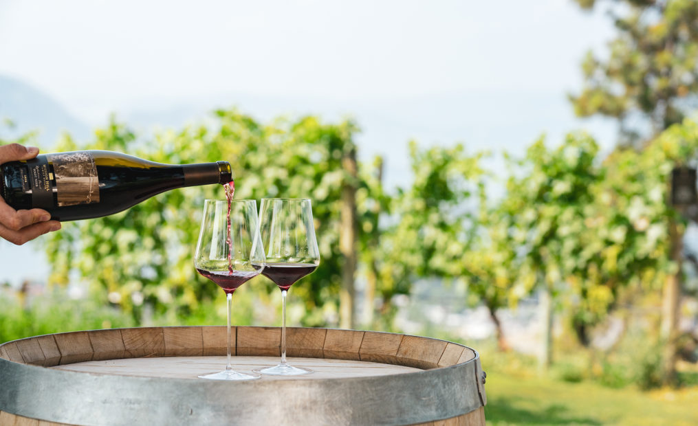 vineyard_barrel_pour
