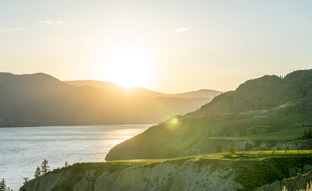 Naramata Ranch Vineyard