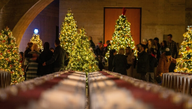 MH-FOT-Trees-Cellar-Celebration