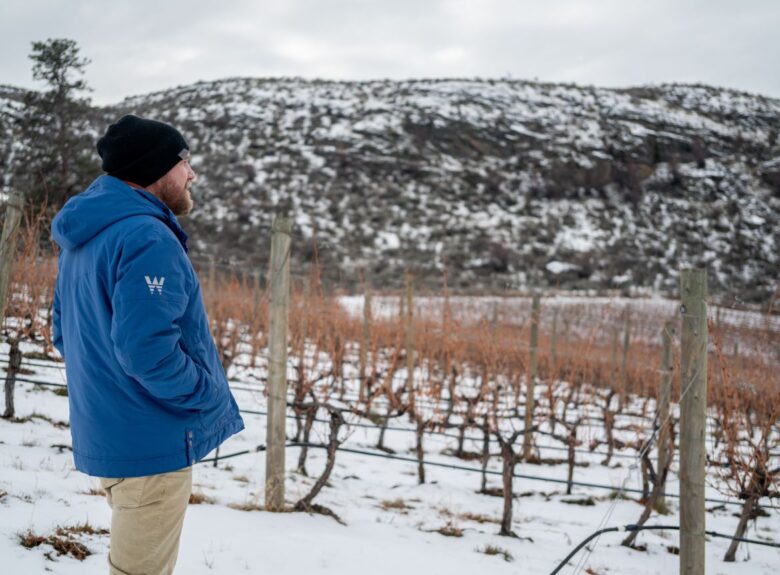 Mission-Hill-Viticulture-Specialist-Okanagan-Valley Viticulture Specialist at Mission Hill Family Estate Winery