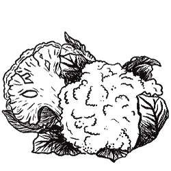 Cauliflower